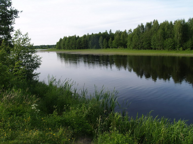 Picture 010.jpg