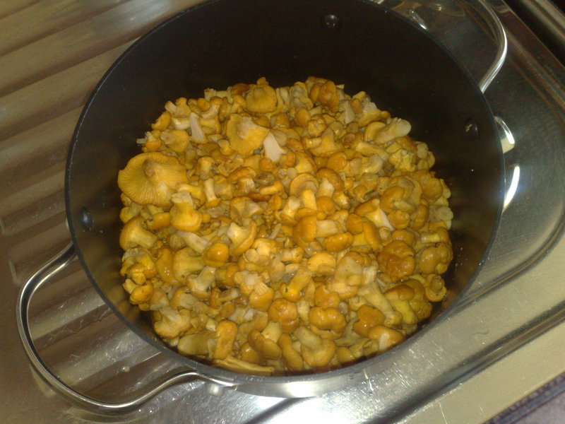 27072010988.jpg