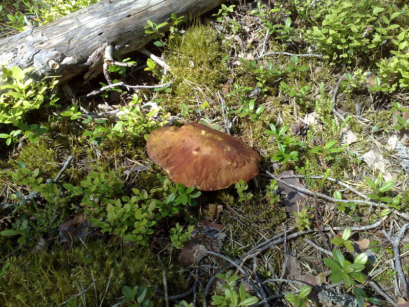 27072010984.jpg