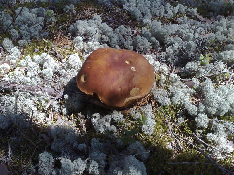 27072010982.jpg