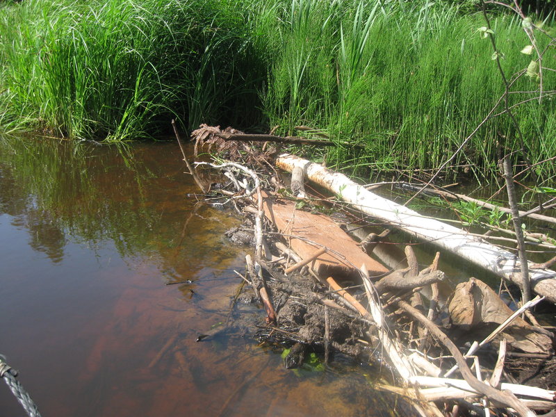 Ягала 05.06.10 025.jpg