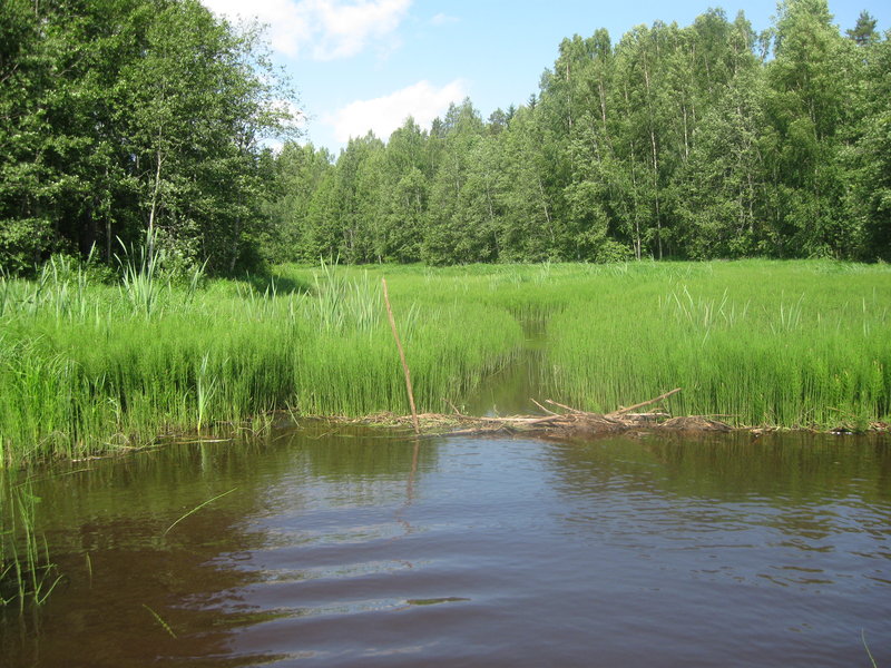 Ягала 05.06.10 026.jpg