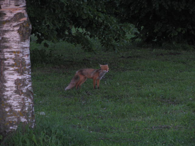 06.2010 001.jpg