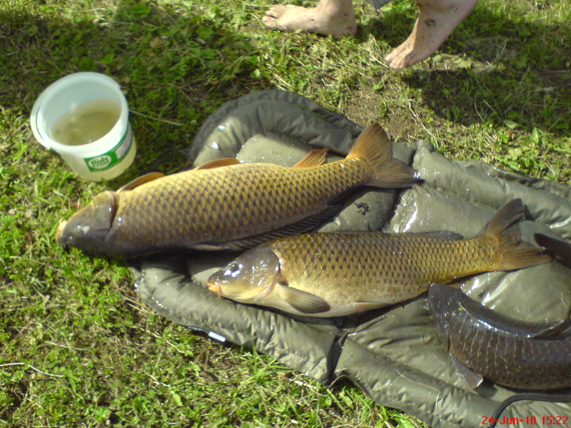 DSC00275.JPG