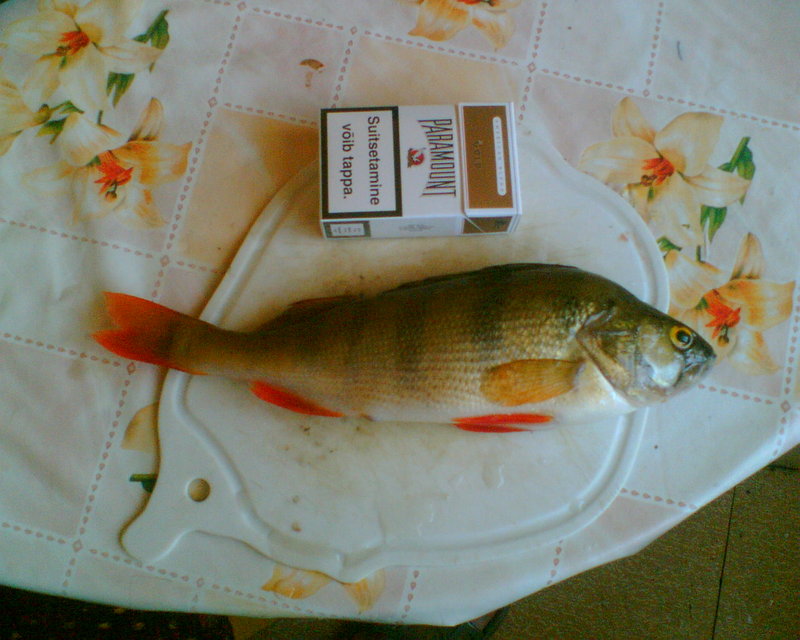 o 004.jpg