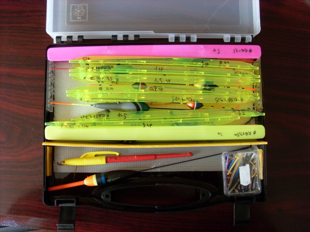 SL382461.JPG