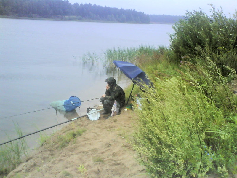 Angler-Tammemae 24.07.10 009.jpg