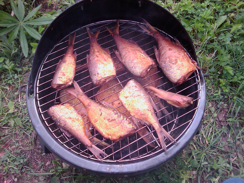 IMAG0089.jpg