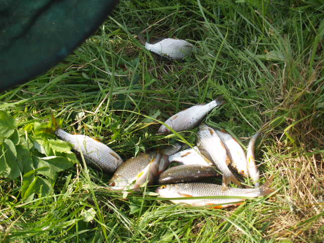 Picture 058.jpg