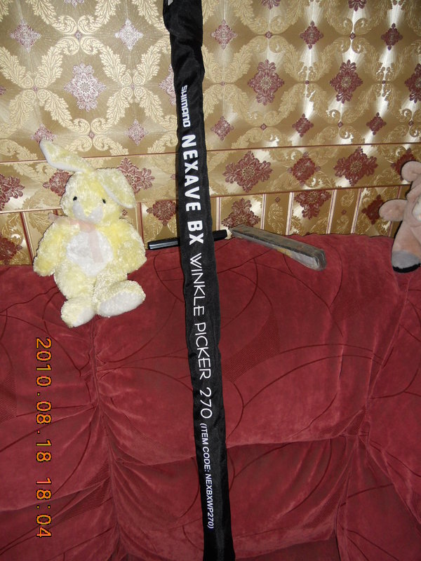 DSCN0019.JPG