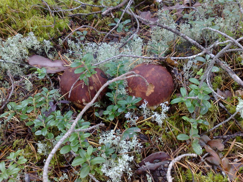 040920101228.jpg
