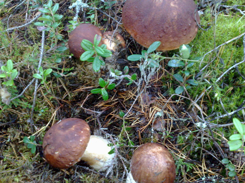 040920101230.jpg