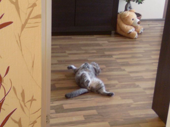 Photo-0004.jpg