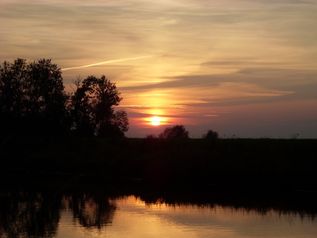 SL382675.JPG