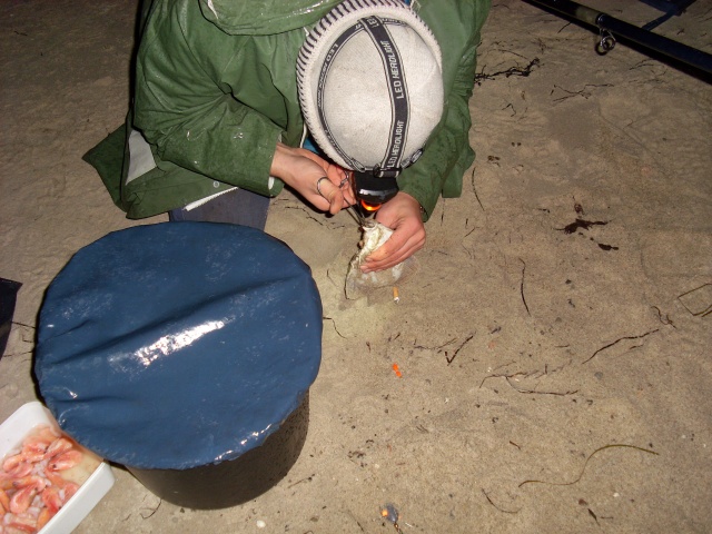 SL382687.JPG