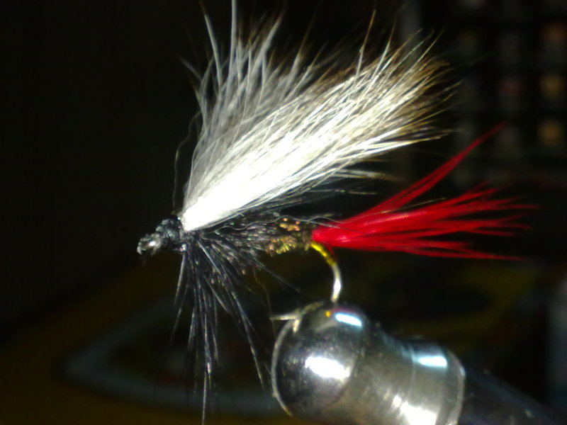 30092010196.jpg