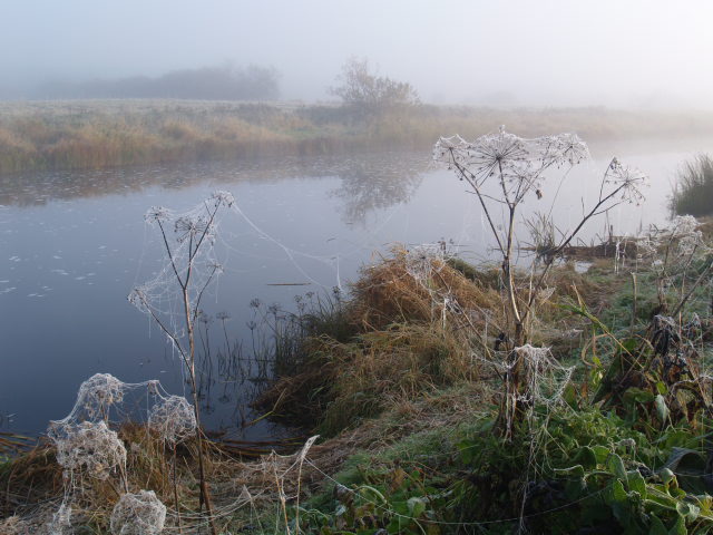 Picture 013.jpg