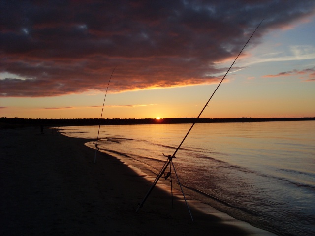SL382697.JPG