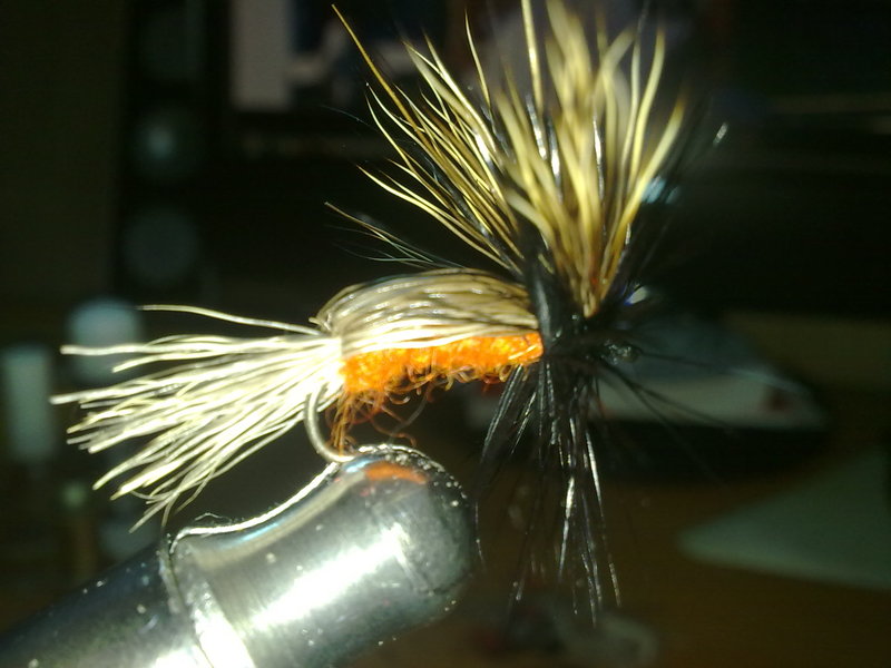 03102010223.jpg
