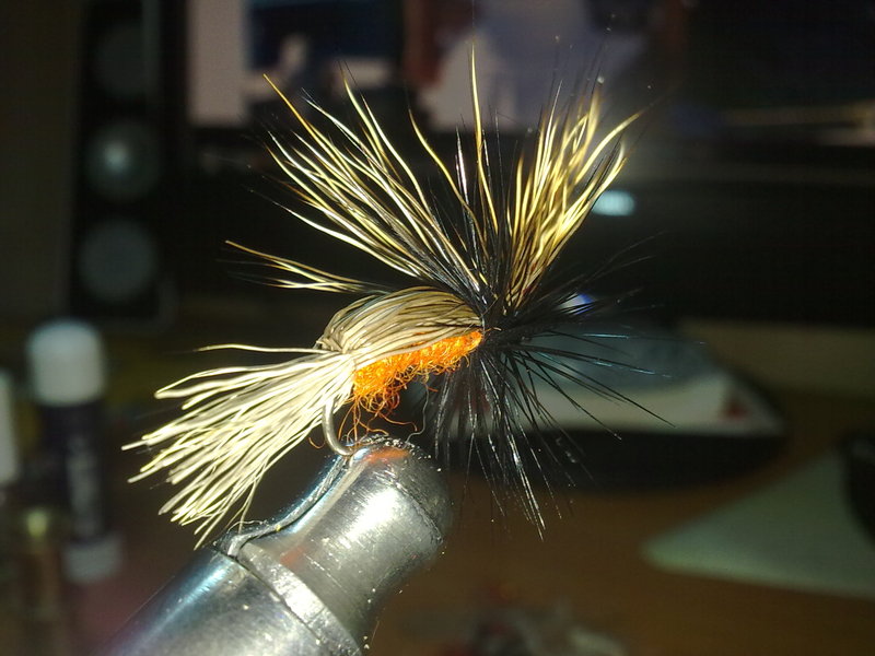 03102010225.jpg