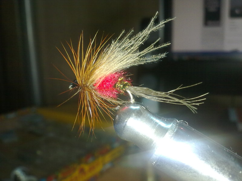 03102010228.jpg