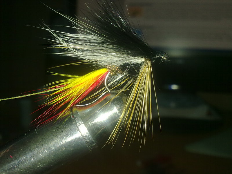 03102010232.jpg