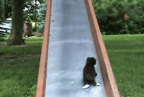 Бесконечность).gif
