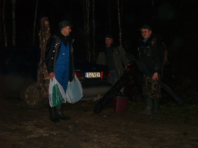 Picture 013.jpg