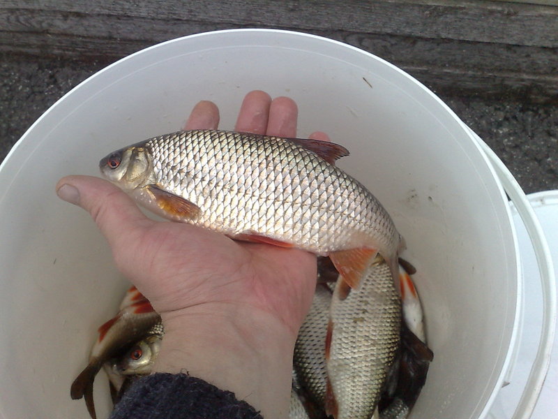 011120101405.jpg