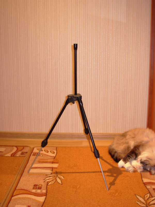 DSCN4129.JPG