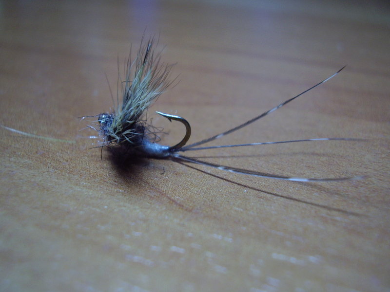 PB280034.JPG