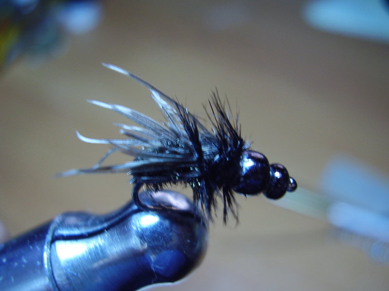 PB290001 (2).JPG