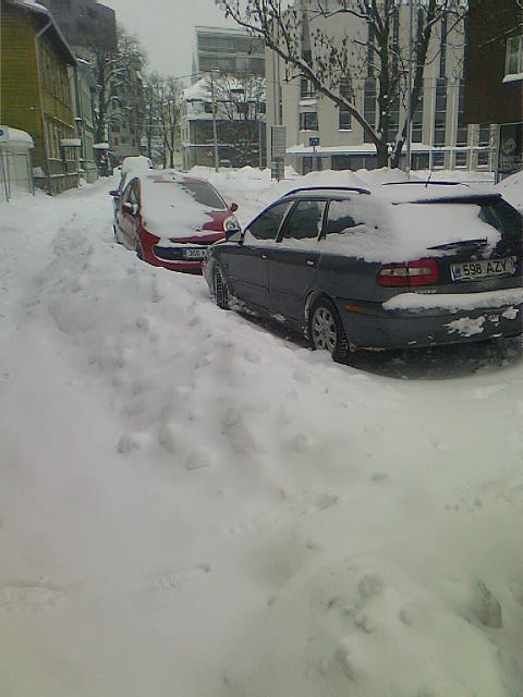 26 декабря1.jpg