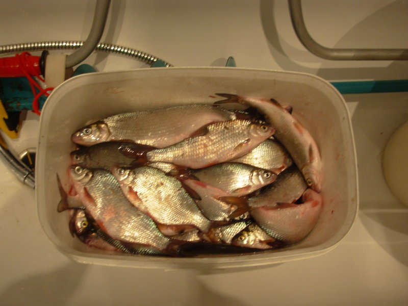 DSCN4329.JPG