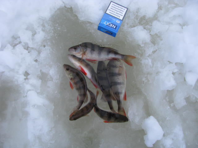 2011a 026.jpg