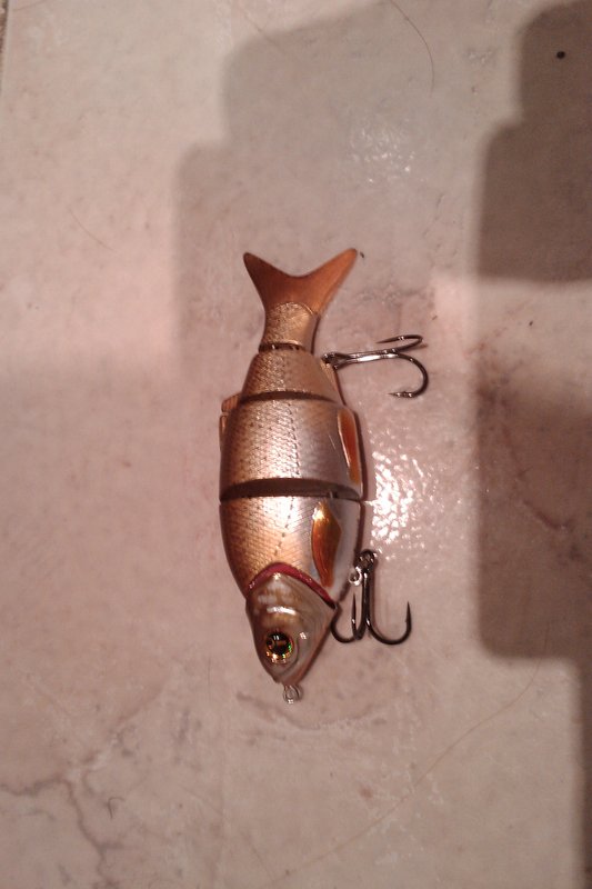 IMAG0317.jpg