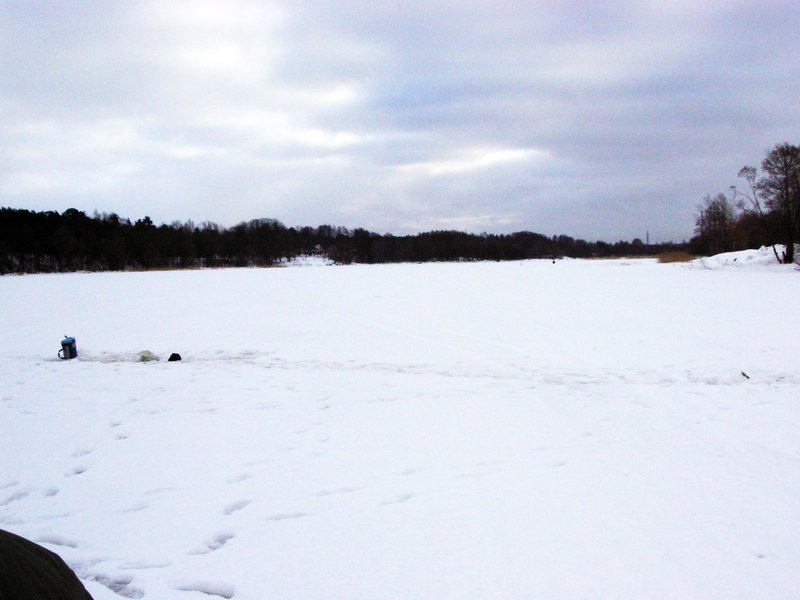 DSCN4437.JPG