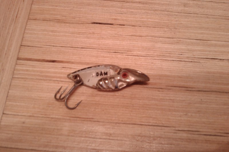 IMAG0333.jpg