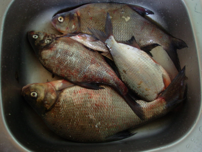 DSCN0107.JPG