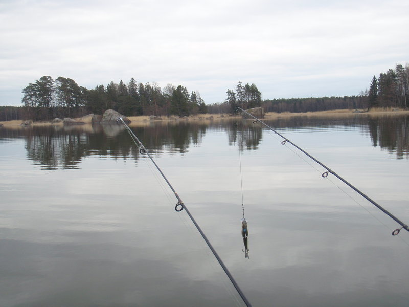 Финка 02-06. 05.2011 133.jpg