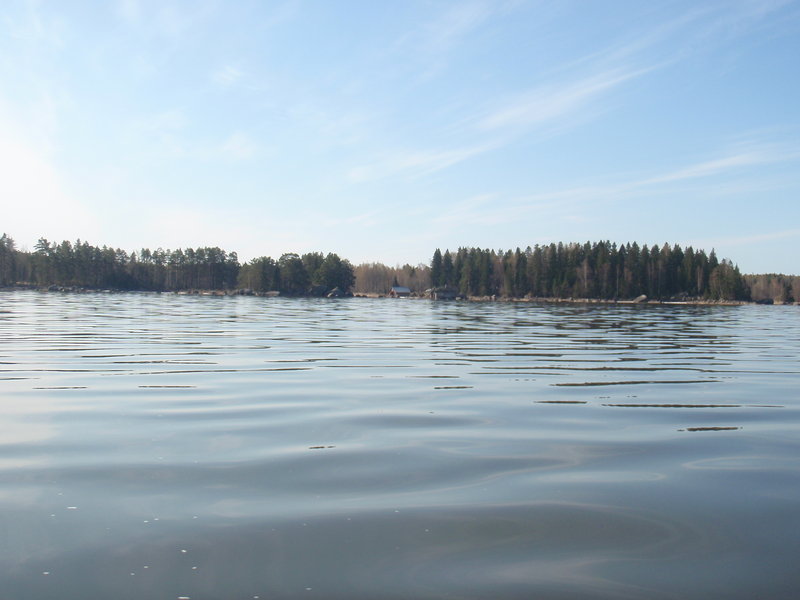 Финка 02-06. 05.2011 183.jpg
