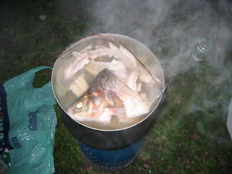 IMG_0005.JPG