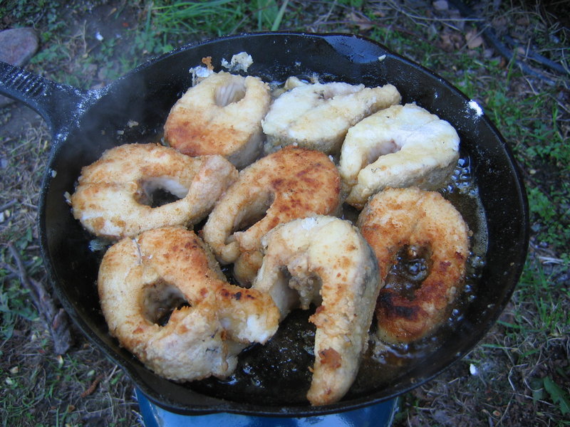 IMG_0016.JPG