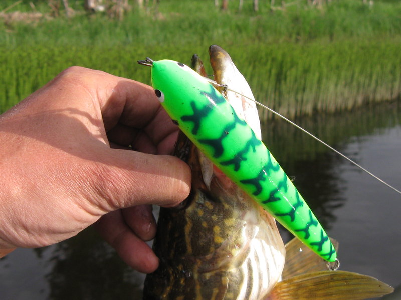 Тори 2011 018.jpg