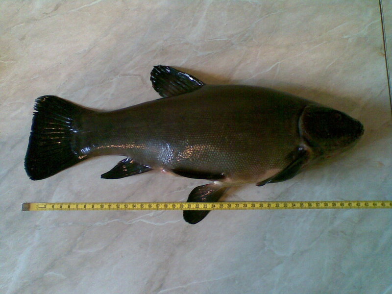 01062011076.jpg