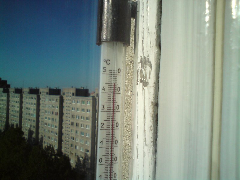сетка.jpg