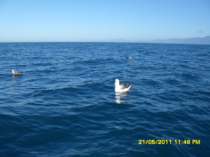 SDC10426.JPG