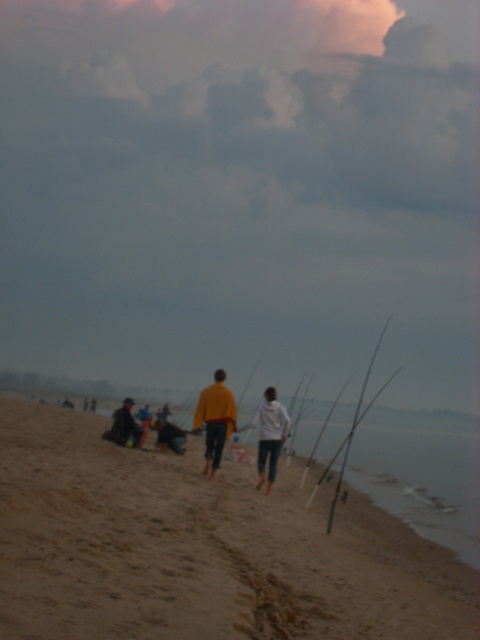 SL383422.JPG