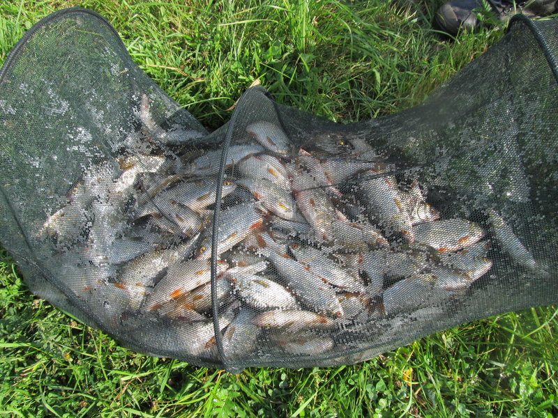 Picture 178.jpg