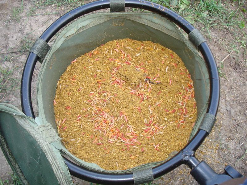 Picture 111.jpg